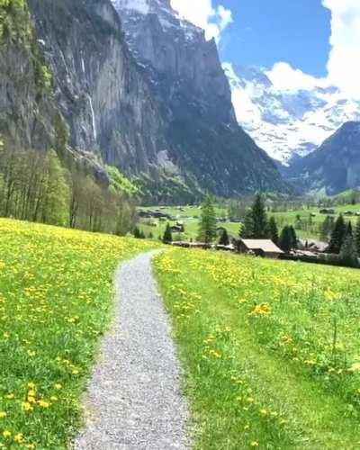 Halcyon Dream (Lauterbrunnen 🇨🇭)