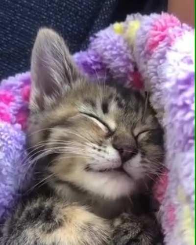 Floof dreaming of warm milk