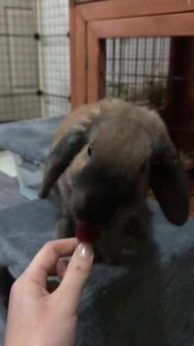 bunnadict’s first strawberry