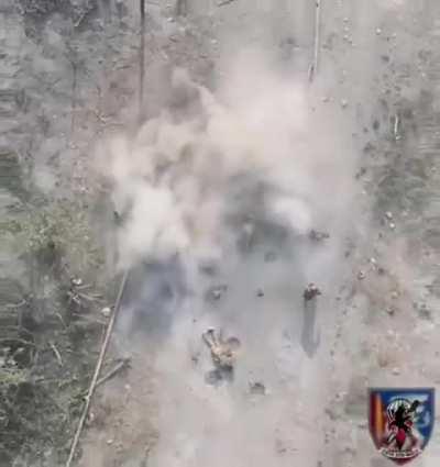 Drone drop takes out Russian troops, 25th brigade