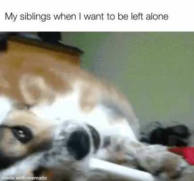 I just want to be left ALONE!