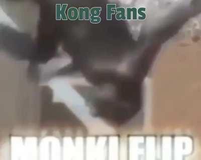 m o n k e