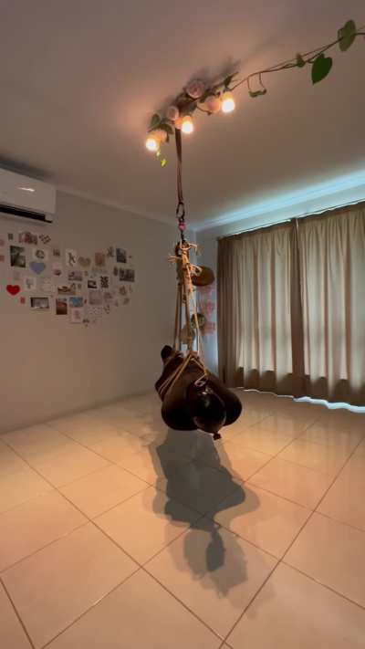 Hang your fuck toy from the ceiling appropriately (part 3 of what happens when you meet strangers on the internet) 