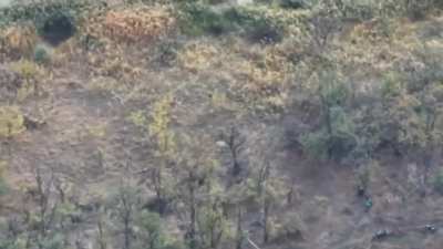 A group of fifteen Russian forces on motorcycles abandoned their vehicles and took cover in a nearby forest upon hearing the first FPV drone