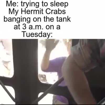 I made this today