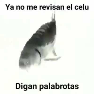 es hora de palabrotas