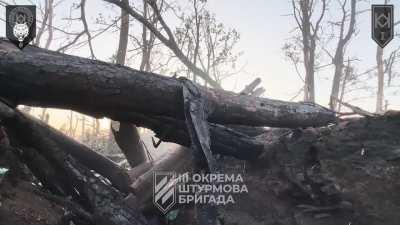 Ukrainain 3rd Assault Brigade clearing Russian positions somewhere in the Kharkiv region