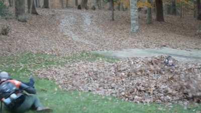 What could go wrong while blowing the leaves.