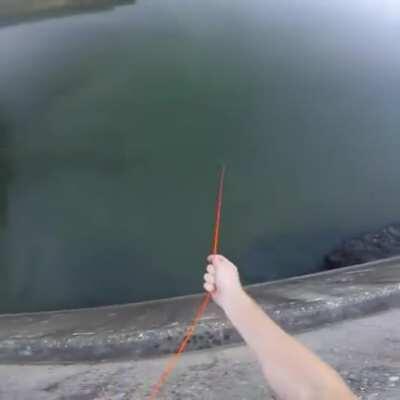 Bowfishing sniper headshot from a dam