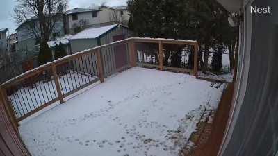 Icy steps in flip flops