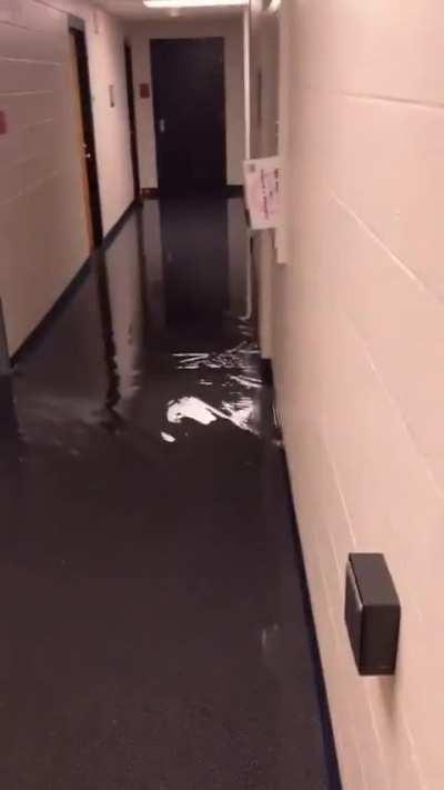 Flooding the dorm