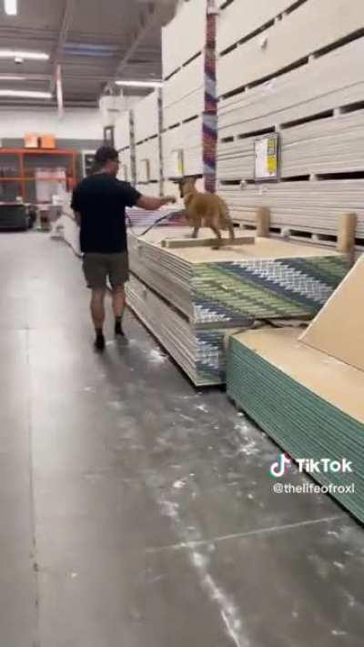 Lady uses Home Depot as her personal dog park.