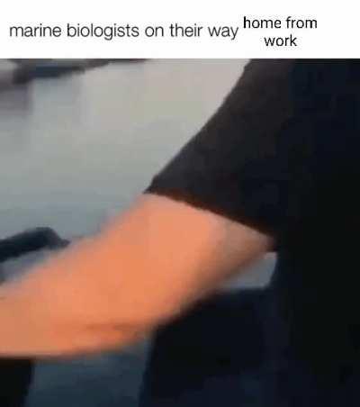 Marine Biologists