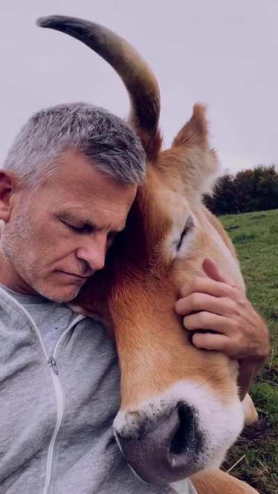 The caretaker at this animal sanctuary shows compassion for the animals in his care and they show their appreciation in return