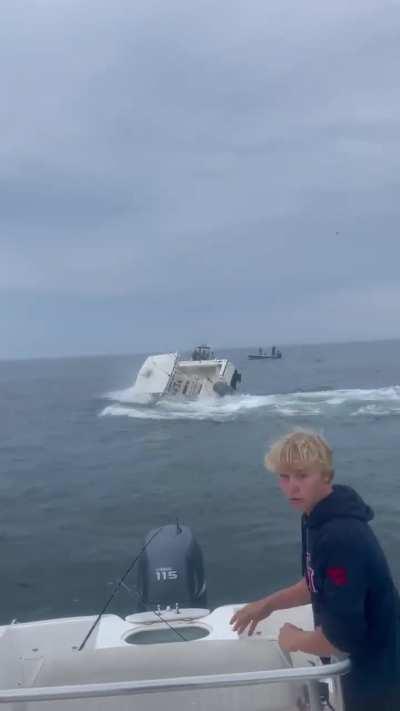 Whale lands on boat