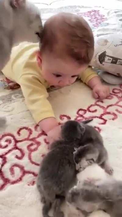 A cat viciously attacking a baby
