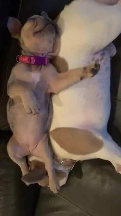 How do they sleep like this? 😂