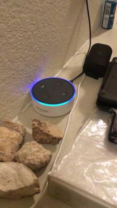 Does Alexa know what’s in the canister?