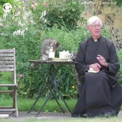 Cat steals the show during virtual prayer