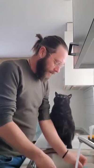 A cute black cat tries to get kisses from owner while he's doing the dishes