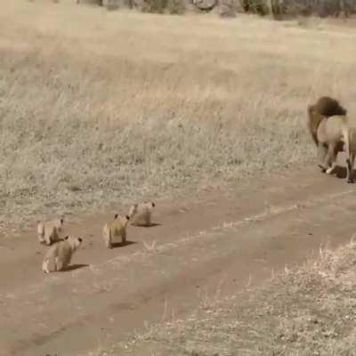 Leo went for a walk with the kids.