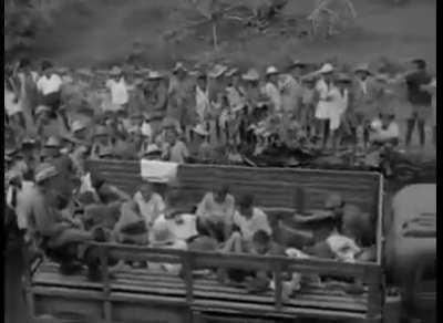 Action of the 145th Regiment , 37th Infantry Division South of Bayombong in the Cagayan Valley and the Capitol of Nueva Vizcaya(Philippines). Hundreds of Japanese Prisoners taken. Last two minutes are dark. No audio.