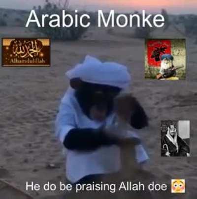 arab monke