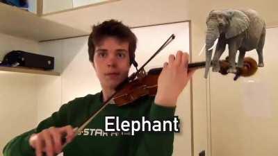 This violinist mimics animal sounds with his violin