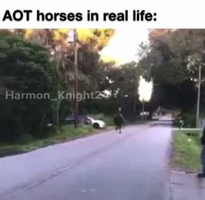 They be galloping at light speed