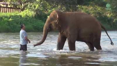 Elephants reunite with caretaker after 14 months