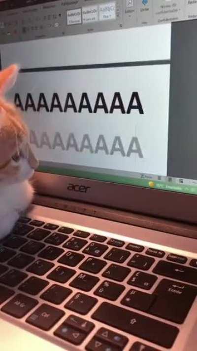 AAAAAAAAAAAAAAAAA