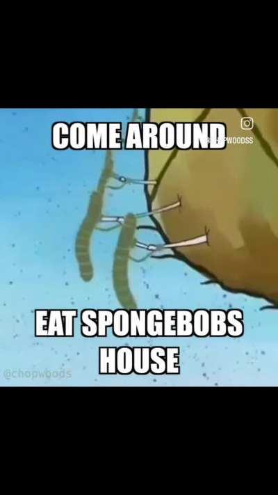 Wtf (what that frick) are nemeltoads doing to splongibop and gays house?!?!?!?