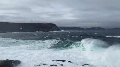 Nice windy day at Cape Spear