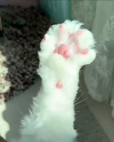 Cute little sock for the beans! 