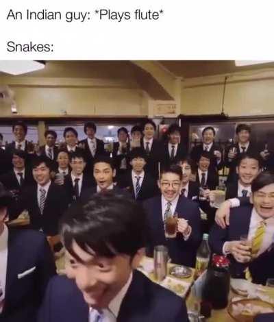 Snakes have got the moves