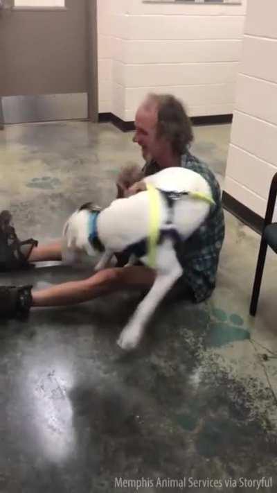 A homeless man reunites with his dog at an animal shelter (from made me cry)