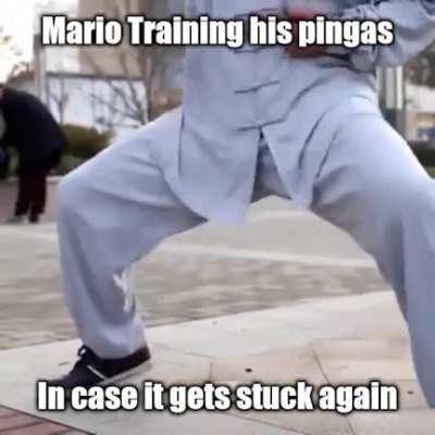 Pingas training