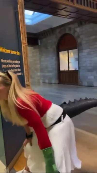 HMC while I contribute to the museum dinosaur exhibit