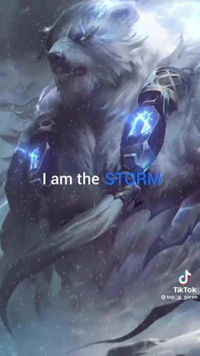 i am the storm