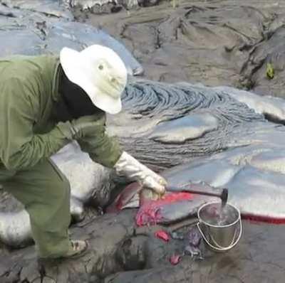 This is how a geologist collect samples from an active volcano.