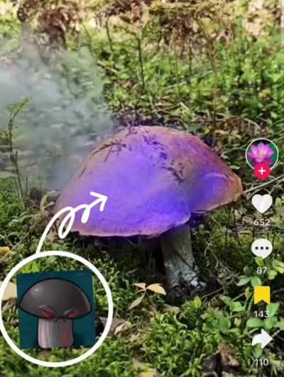 Doom-Shroom in real life