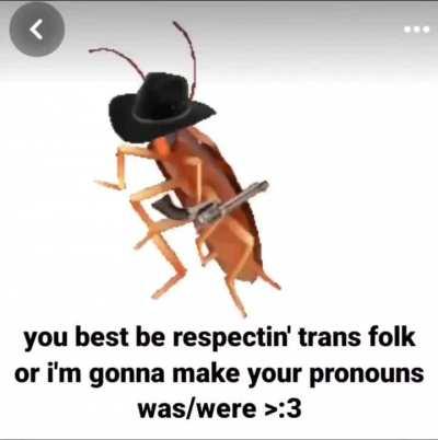 cowboy roach says trans rights 🔫🪳