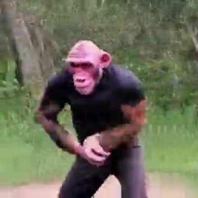 Joe Rogan Fighting a Chimpanzee