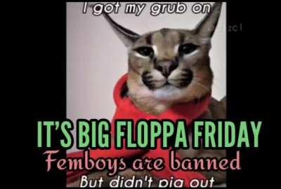 BRING BACK FLOPPA