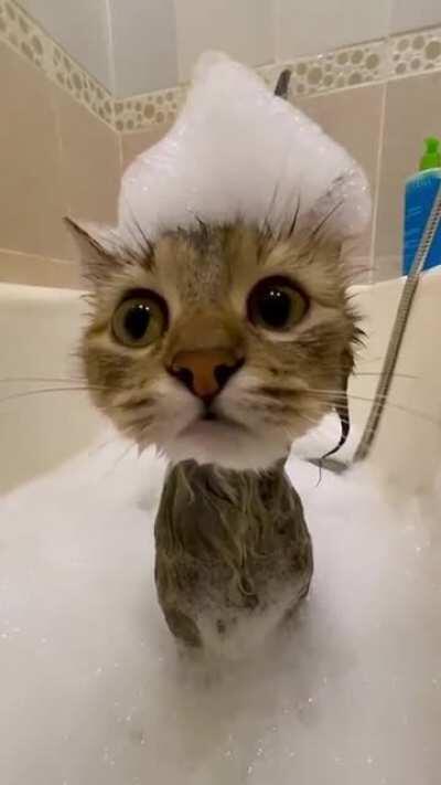 Cute soap hat