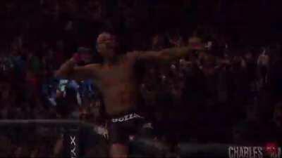 Vitor Belfort getting FrontKicked in the face by Anderson Silva and Lyoto Machida. Vitor is the victim of 2 out of 6 frontkick KOs in UFC history.