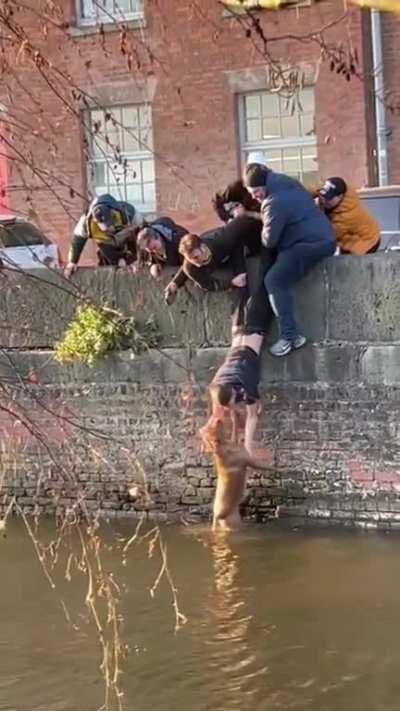 Good boys rescuing a good boy, Manchester UK