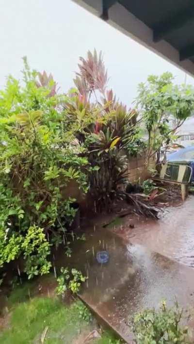 Rain in Pearl City this morning