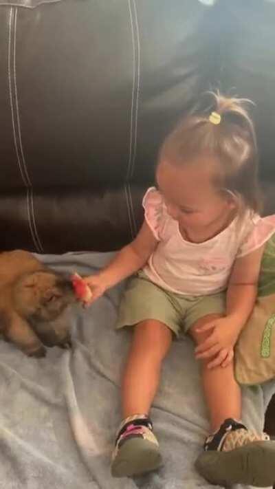 My niece feeding Amazon watermelon!