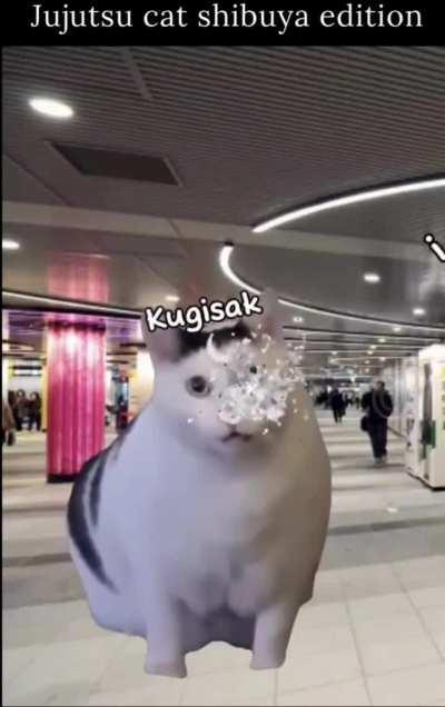 Shibuya cat edition 